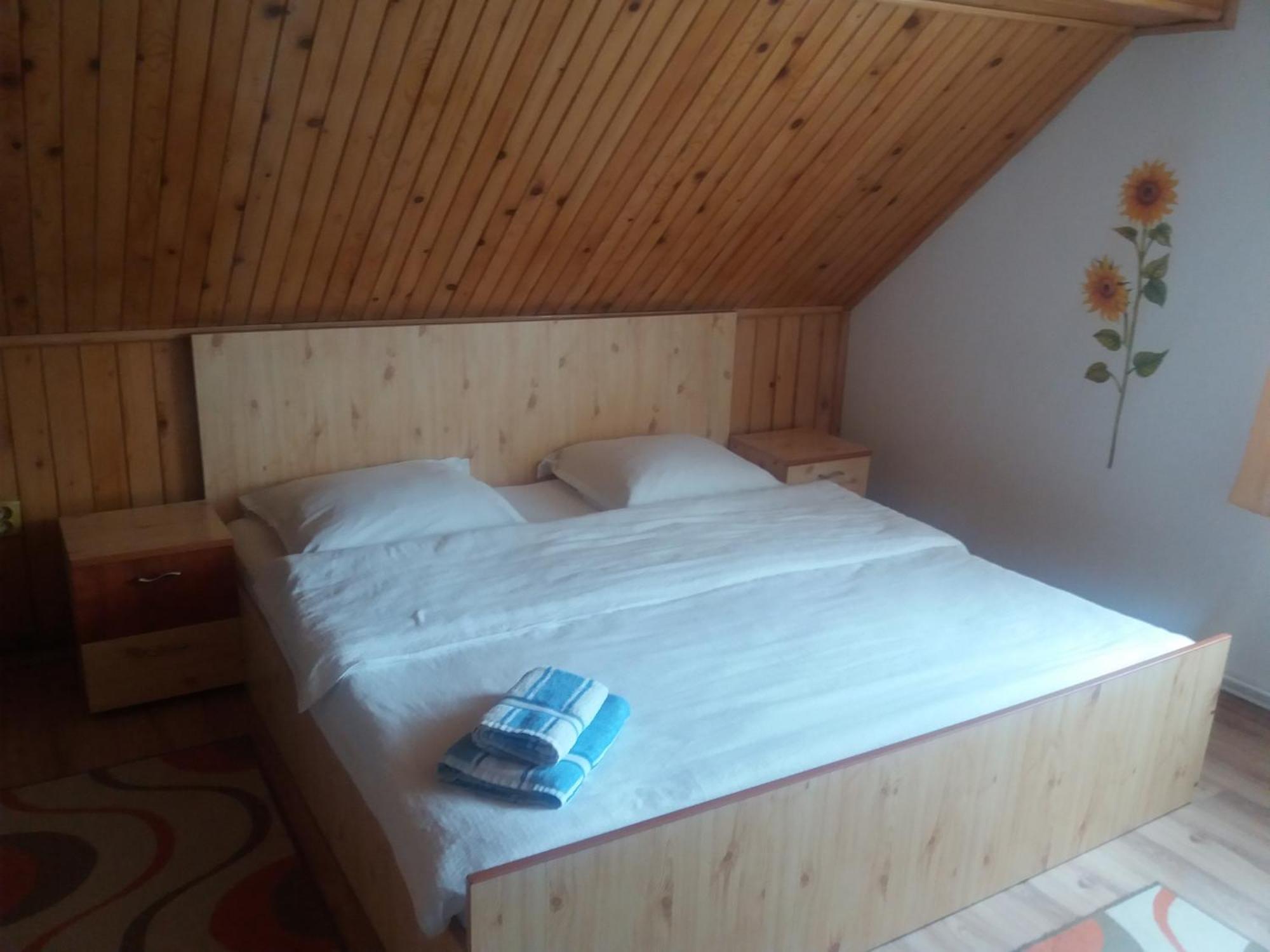 Casa Elena Hotel Moieciu de Jos Bagian luar foto